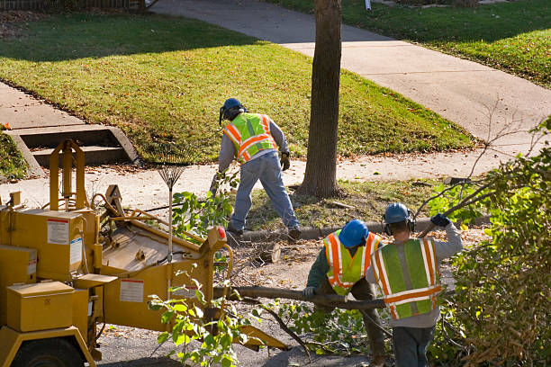  Brent, AL Tree Care Services Pros