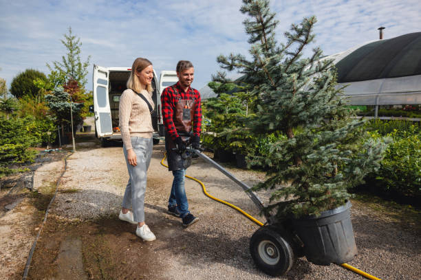 Best Palm Tree Trimming  in Brent, AL